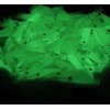 ROYHOO 100pcs Luminous Silicone Soft Shrimp Lure Baits Soft Lure