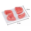 Kingden Pad Sutura Bucal Silicón Boca Odontología Con Base N5001