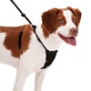 SPORN No Pull Dog Harness, Black, Medium