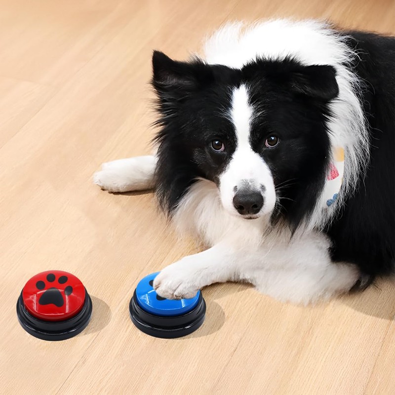 WUSJCOF 2 Pieces Buzzer with Recording Function, Intelligence Toy for