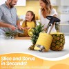 CE Compass Pineapple Corer Slicer Peeler, Stainless Steel Eye Remover