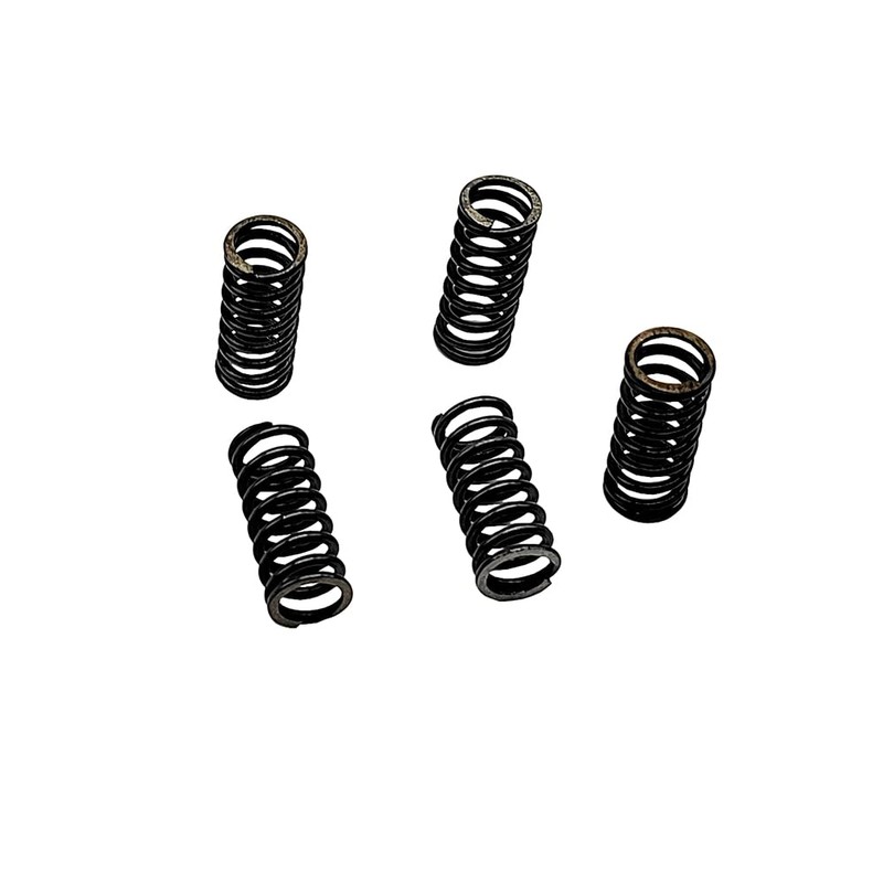 BIGLKNM Clutch Kit Friction Plates & Heavy Duty Springs Gasket