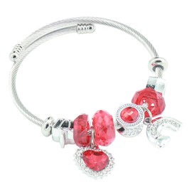 JASKFG Twisted Cable Bracelet with Red Crystals and Charms, Silver Tone
