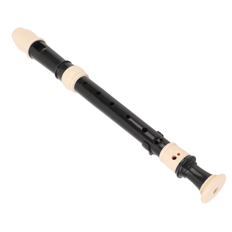 8 Hole Recorder Detachable Soprano Recorder Musical Instrument with Cleaning
