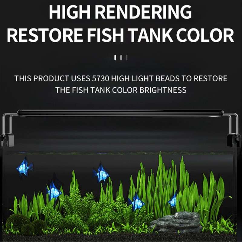 Aquarium Light Professional High Brightness Blue White Lighting Fish Tank