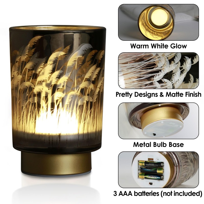 Eywamage Battery Operated Table Lamp with Remote, Pampas Cordless Glass