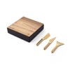 RBT Cheese Knife Set, 4 Different Cutting Surfaces, Black