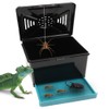 Spider Cage Manti Feeding Box Reptile Mealworms Breeding Box to