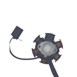 ERRIPA 6 Coils Stator Magneto for 50cc 70cc 90cc 110cc 125cc ATV - Replacement Magneto Stator Plate for Go-Kart Buggy Dirt Bike and Quad