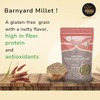 Rigel Spices Barnyard Millet | 2lbs resealable pack | Kuthiraivali