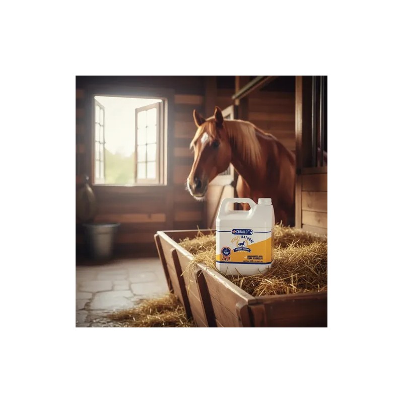 Mass Caballo Galon Aceite Vegetal
