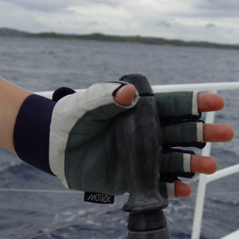MOTIVEX Segelhandschuhe Rückseite Elasthan alle Finger kurz, Blaugrau, L