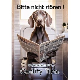 Blechschild Humor Aluminium 20x30cm - auf der Toilette mit Zeitung Weimaraner Hund 123
