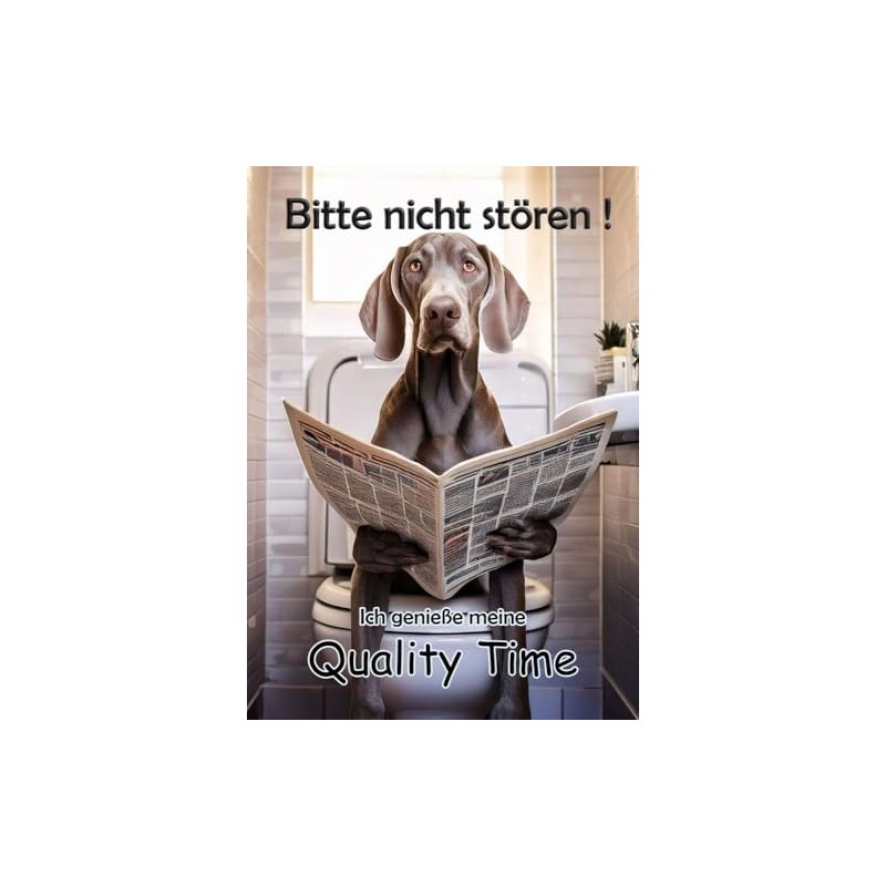 Blechschild Humor Aluminium 20x30cm - auf der Toilette mit Zeitung