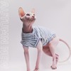 Sphynx Cat Clothes Pure Cotton Soft and Stretch Spring and