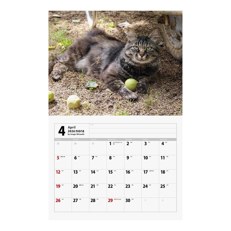 2026 Tatsumi Publishing Calendar/Nara Mitsuaki Iwatami