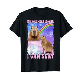 Idk How Much Longer I Can Slay Capybara Funny T-Shirt