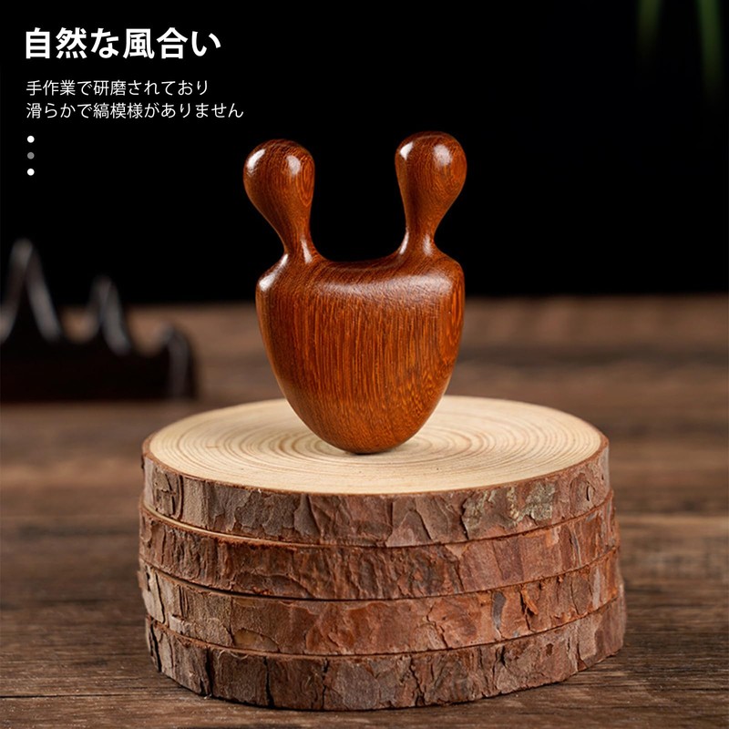 aninako Snail Cassa, Sandwood, Press Point Scalp, Face, Nose Muscles,