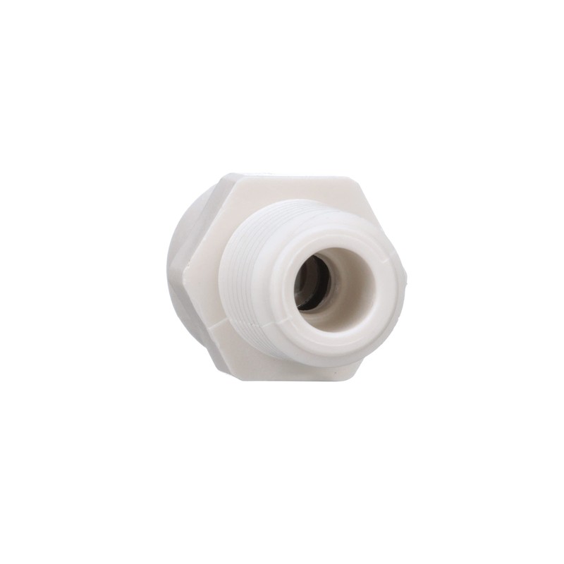 Watts PL-3005 Push Male Adapter, 0.25 Inch MIP