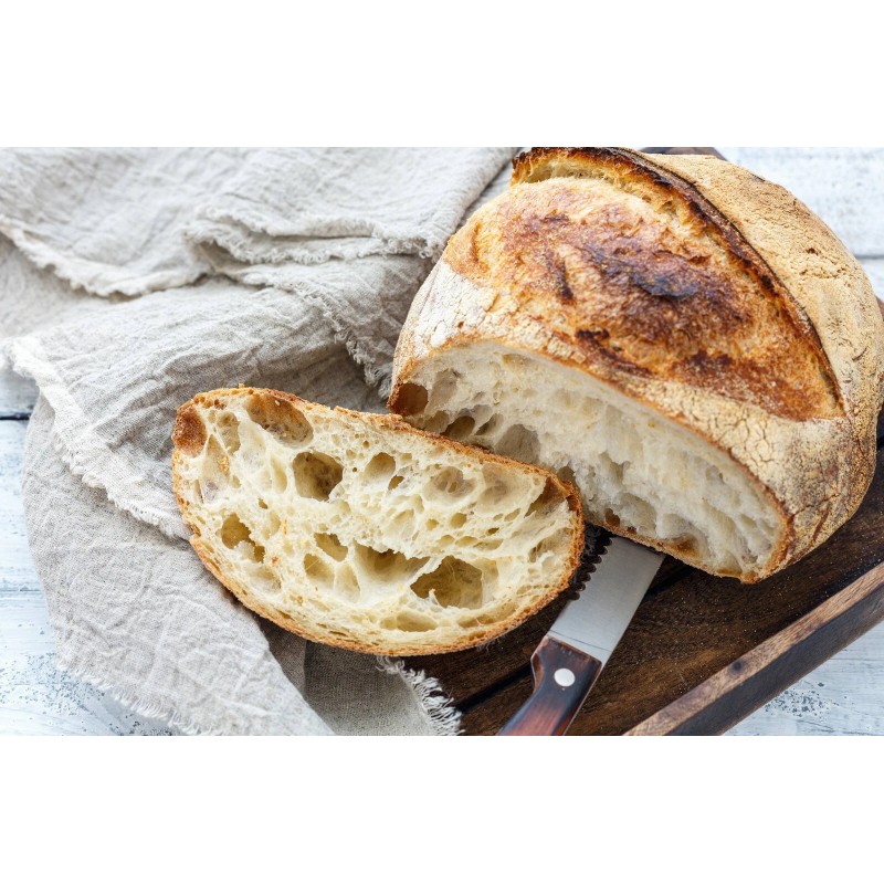 Heritage Sour San Francisco Sourdough Starter Dehydrated Active 200+ YRS