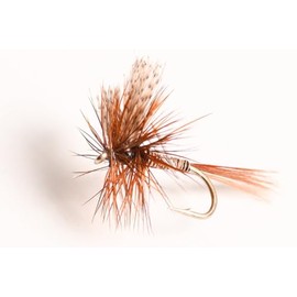 Blue Wing Olive Red Quill Dry Fly, 6-Pack (16#)