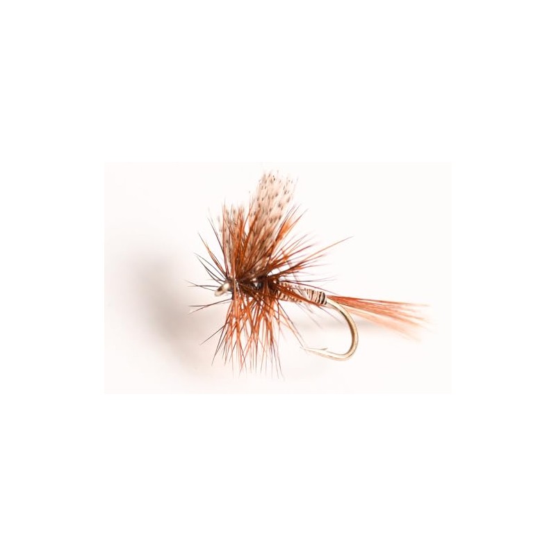 Blue Wing Olive Red Quill Dry Fly, 6-Pack (16#)
