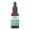 Dorwest Herbs Fragaria 3C Homoeopathic Liquid Remedy for Dogs &