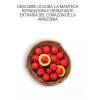 Natura Pack Ekos Ucuuba 2 Cremas Hidratante Para Manos 75gr
