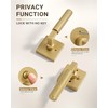 1 Pack Champagne Bronze Door Handle Square Doorknob with Lever