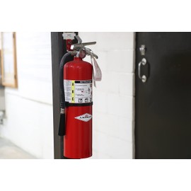 Amerex B456 ABC Dry Chemical Fire Extinguisher with Aluminum Valve, 10 lb