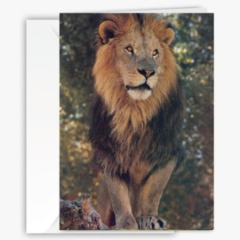 90210 Exotics Lion Greeting Card, All-Occasion Wildlife Card- Blank Inside - Perfect for Birthdays, Thank You, Encouragement, Father's Day, Nature & Animal Lovers