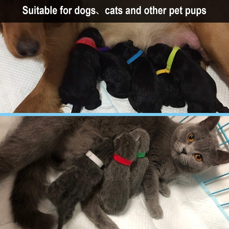 15 Pcs Puppy Whelping Collars Newborn Pet Collars Double-sided Soft