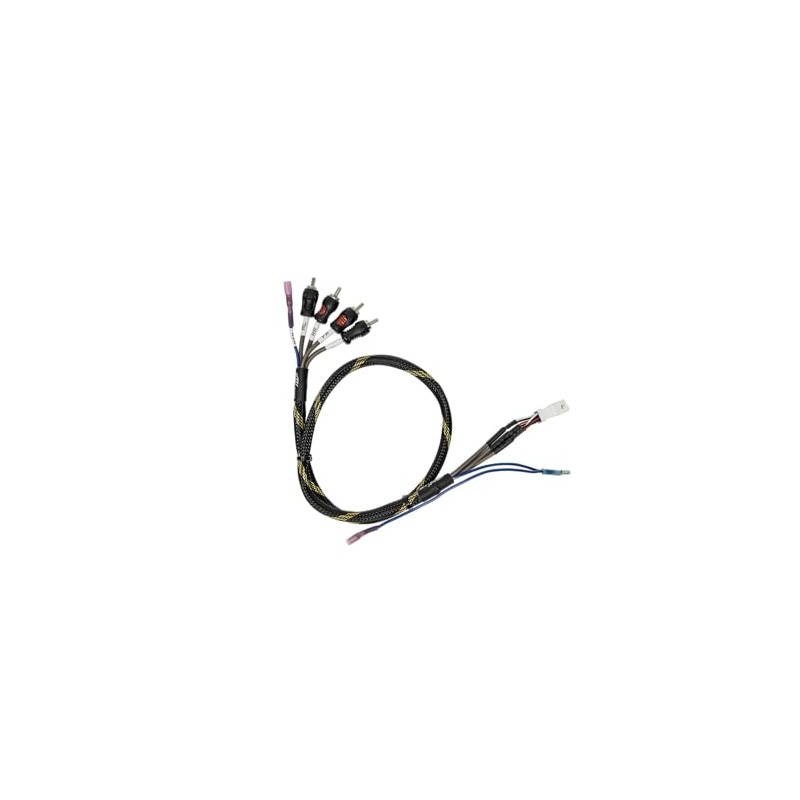 Can-am Maverick R BRP Go Front & Rear RCA Output
