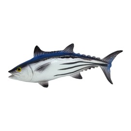 WitnyStore 4" Long Atlantic Skipjack Tuna Fish 3D Resin Fridge Magnet Sea Fishes and Marine Mammal Aquatic Life Animals Refrigerator Magnets Decorative Collectibles