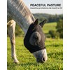 UEAVOID Maschera Cavallo Anti-Mosche 1 pezzo, Protezione UV, Traspirante, con