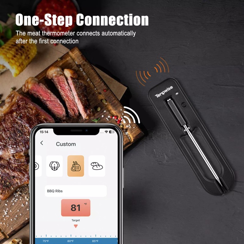 Tempwise Bluetooth Smoker Meat Thermometer Truly Wireless BBQ Thermometer 0~85℃/32℉~185℉