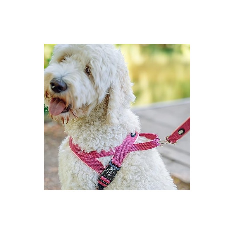 Nobby Classic Preno Norwegian Harness, 38-50 cm+36 cm/20-25 mm, Blue