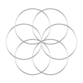 Worown 6pcs 25cm Floral Wreath Hoops, Silver Metal Rings for Making Wedding Wreath Decor and Wall Hanging Craft