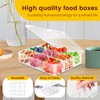 AQSXO 1 Pcs Snack Box Container, 9 Compartments Snack Containers