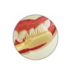 Ultra Premium Care Super Tight Regular Set of 2