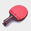 Table Tennis Racket, Beginner, Intermediate, Shake, Carbon Case, Pen, Double-Sided,