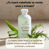 Shampoo Orgánico Artesanal Sábila Romero Verbena Kit 2pzs