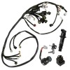 Caltric Wire Harness/Starter/ Ignition Key Switch,Coil Yamaha YFZ450 Bill Ballance