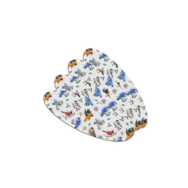 Northeastern Birds Pattern Double-Sided Oval Nail File Emery Board Set