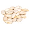 Pumpkin Seeds for Planting - to Plant Jack O' Lantern