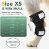 GFKRHPNY 1 Pair Short Dog Rear Leg Hock Ankle Brace