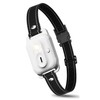 Dog Traing Receiver Collar for C94