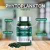 Nannochloropsis Phytoplankton Tablets – 250mg per Serving – Vegan, Gluten-Free,