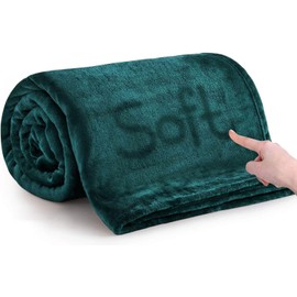 IR Imperial Rooms Fleece Blanket Twin Size 60 x 80 Inches - Super Soft Fluffy Throw Blanket for Sofa and Bed - Warm and Cozy Lightweight 400 GSM Microfiber Bed Throws Blankets (Twin, Emerald)