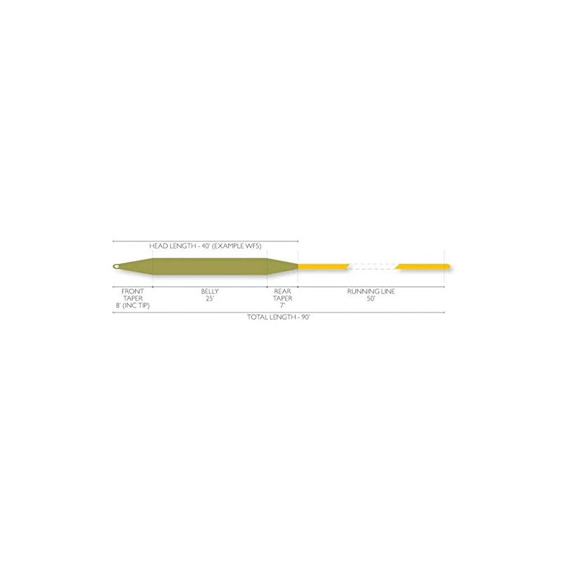 Airflo Forge Fly Line